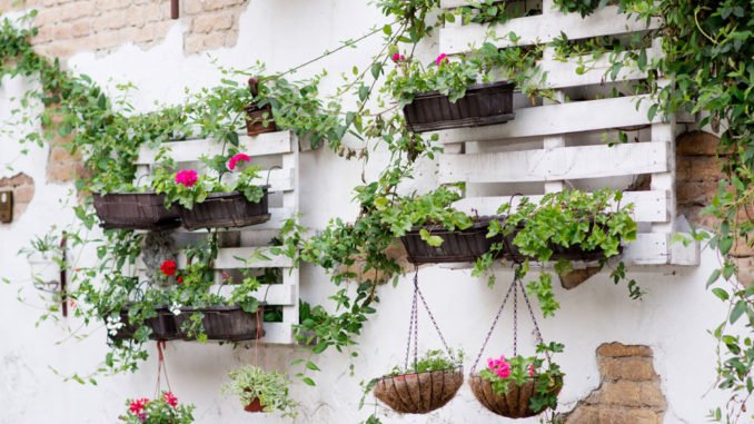 © newnow - Fotolia.com Alternative Blumentopfhalterung