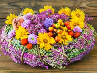 Schönes aus dem Garten für den Wohnbereich