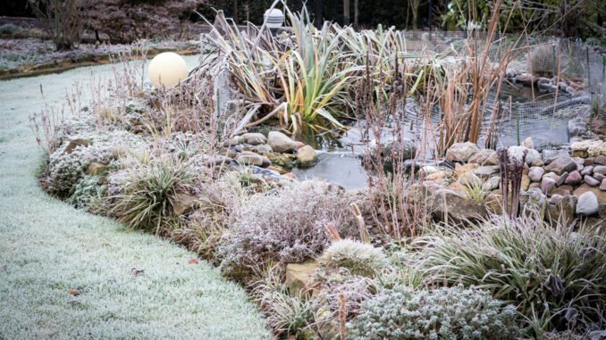 © Krawczyk-Foto - Fotolia.com Gartentipps im Dezember