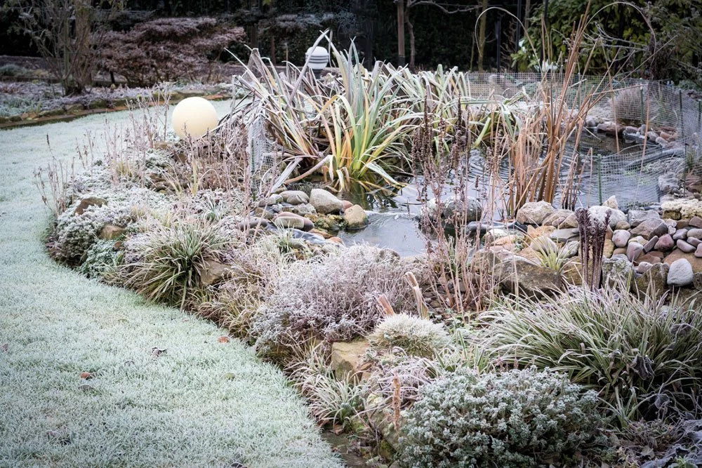 Gartentipps im Dezember
