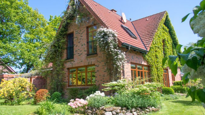 © womue - Fotolia.com Optik und Klima des Hauses mit Kletter- und Schlingpflanzen bereichern