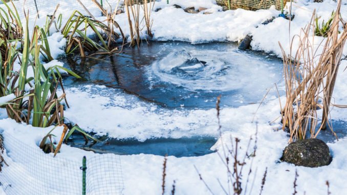 Den Gartenteich im Winter eisfrei halten Praxisreihe