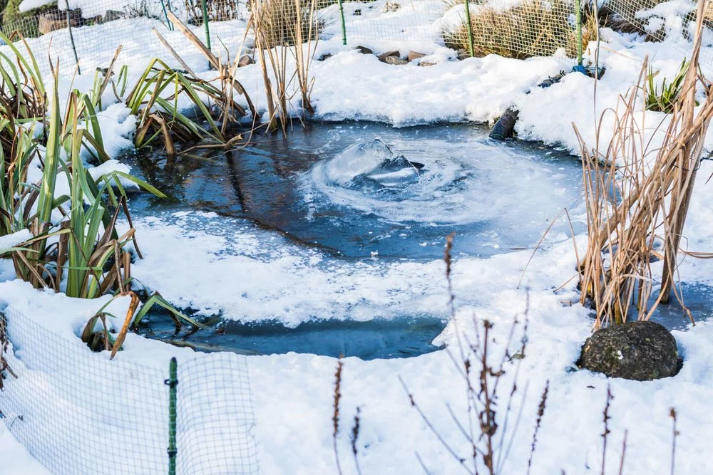 Gartenteich im Winter
