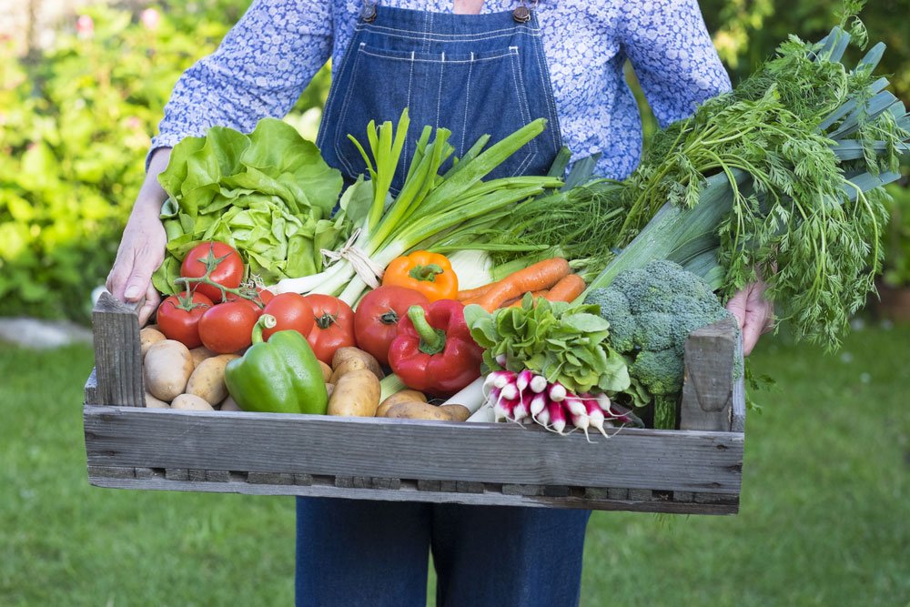 Gartenarbeit Juli