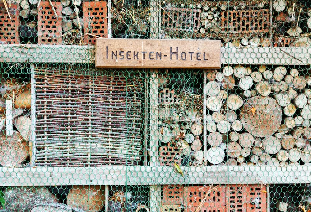 Insektenhotel anlegen