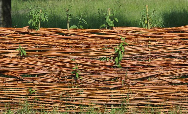 Sichtschutz für Terrasse aus Weide