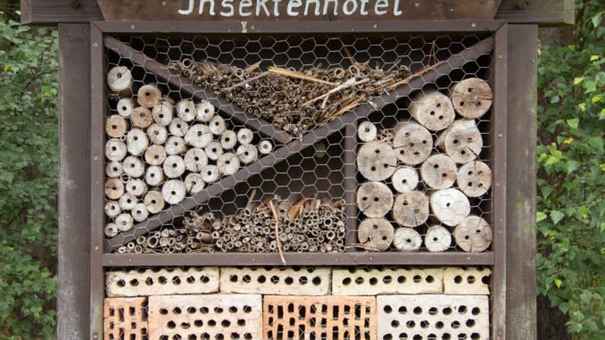 © pit24 - Fotolia.com Insektenhotel bauen Anleitung