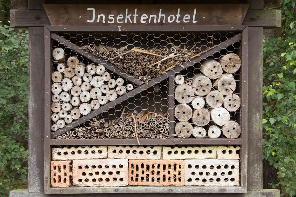 Insektenhotel bauen Anleitung