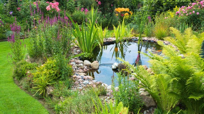 © Madame.Abdeslame - Fotolia.com Strom sparen beim Gartenteich