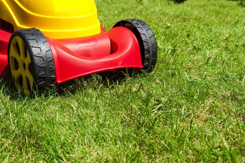 © stockWERK - Fotolia.com Rasen mähen