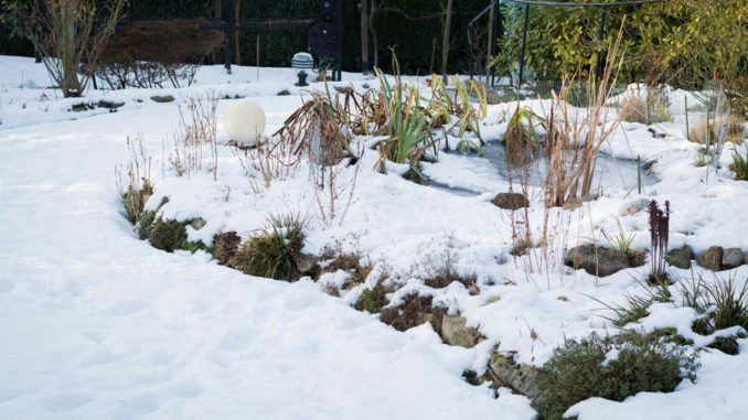 © Madame.Abdeslame - Fotolia.com Vegetationsruhe Pflanzen Winter