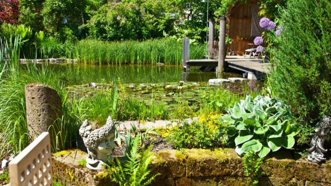 © FLH Gartenteich Biotop
