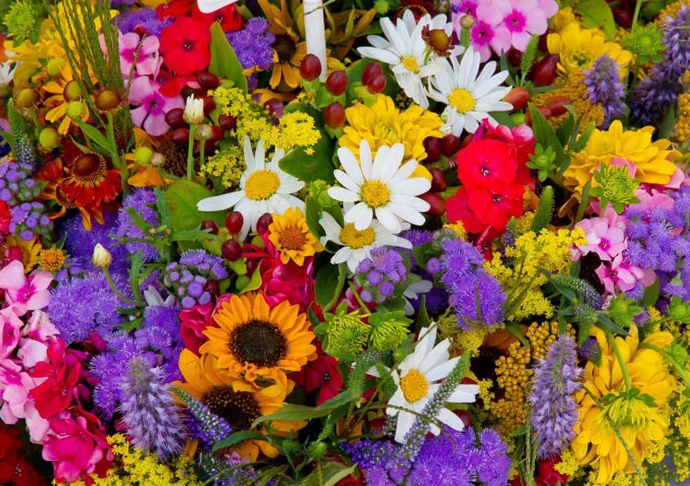 Blumenstrauß Blumenbeet