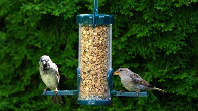 © Heiner Witthake - Fotolia.com Vogelsilo Winter