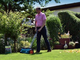 Wurzelwerk stärken Rasen