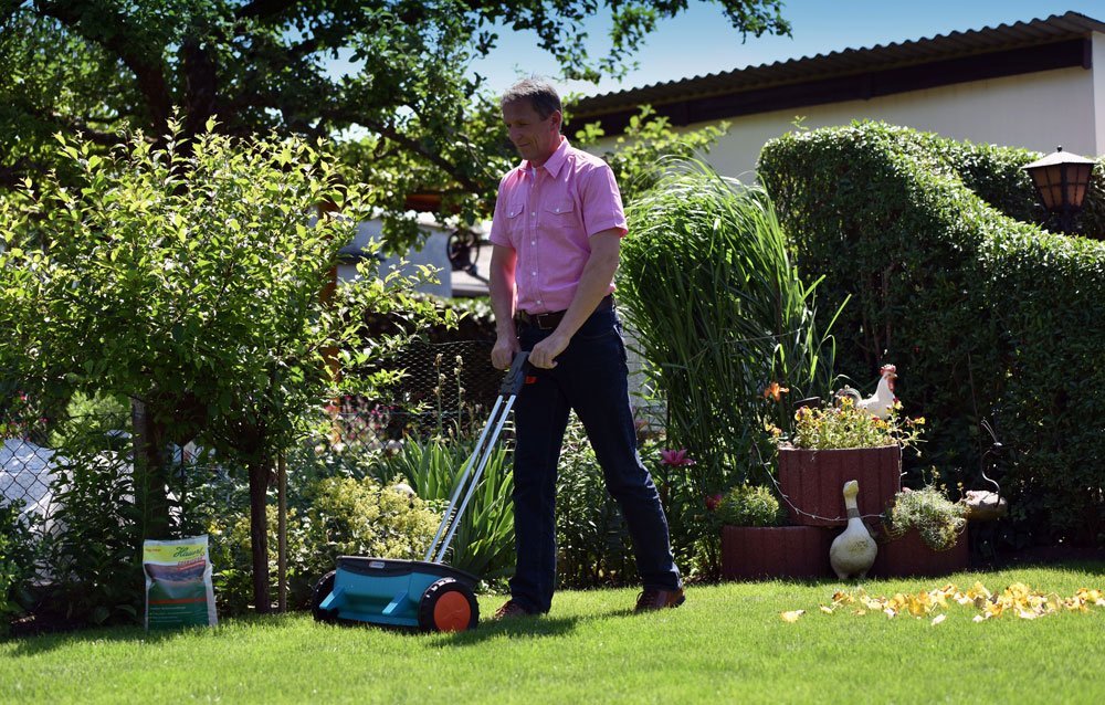 Wurzelwerk stärken Rasen