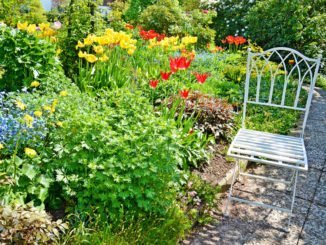 Gartenideen Frühling