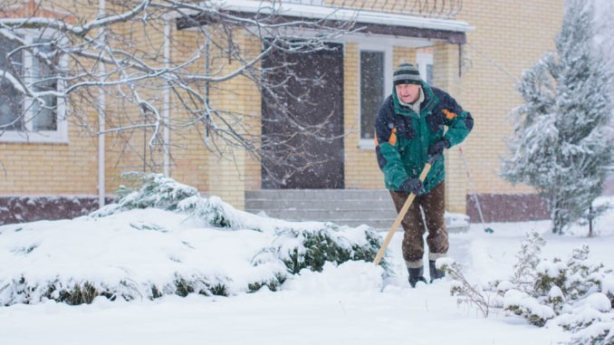 © tanyaden - Fotolia.com Garten Januar Februar