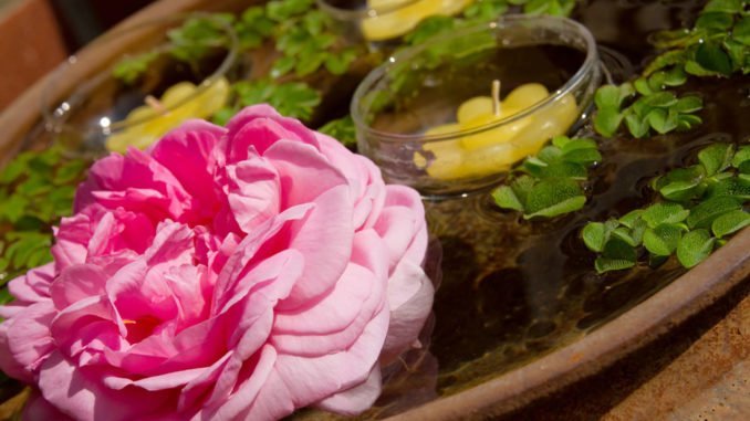 © Elisabeth - Fotolia.com Miniteich Blumenkübel