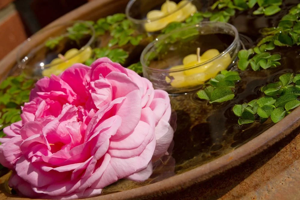 Miniteich Blumenkübel