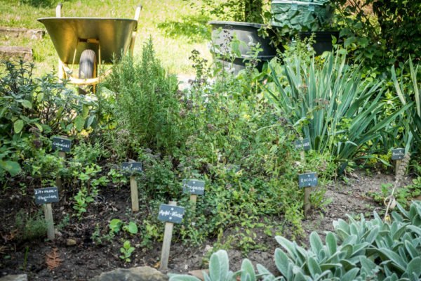 Kräutergarten im Beet anlegen Tipps zu Standort und Kräuterauswahl