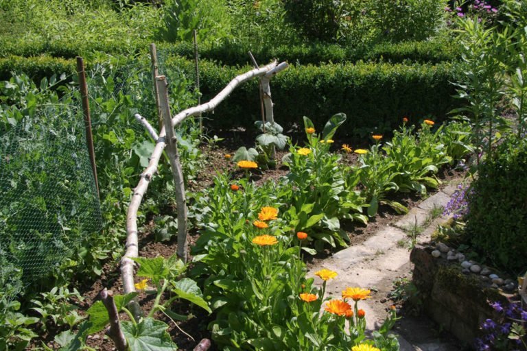 Garten im Landhausstil gestalten So schaffen Sie CottageFlair!
