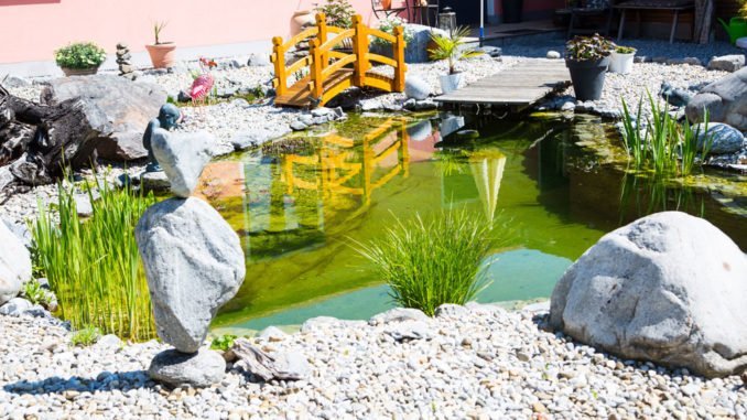 Filtersysteme für den Gartenteich Filtersysteme für den Gartenteich