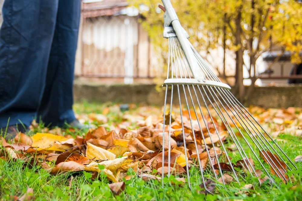 Garten winterfest machen