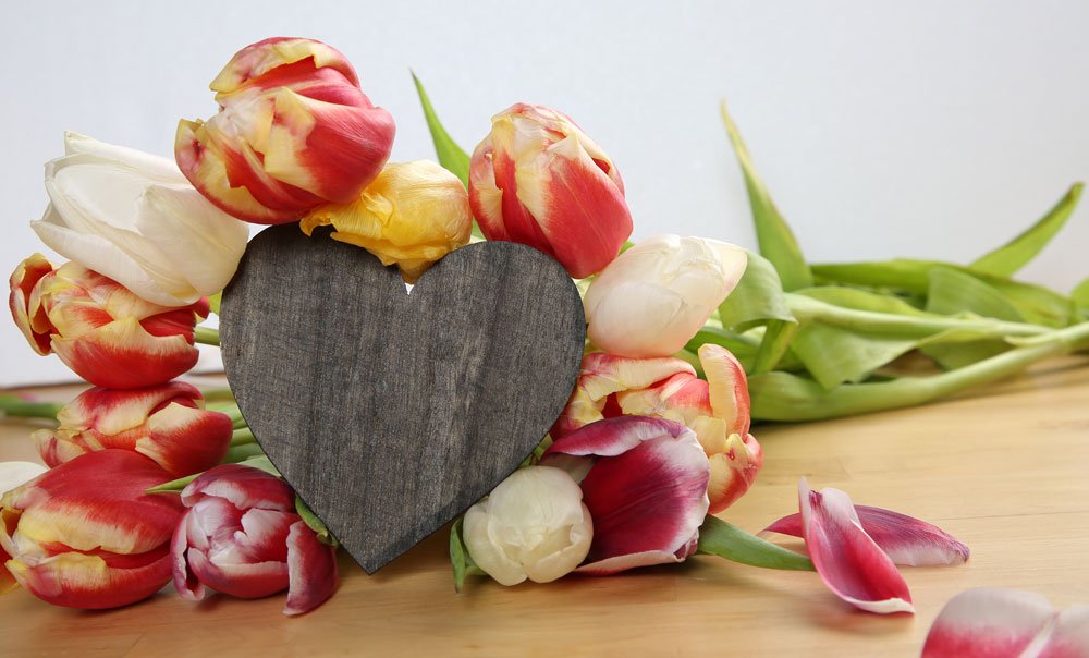 © Birgit - Fotolia.com Papageientulpen