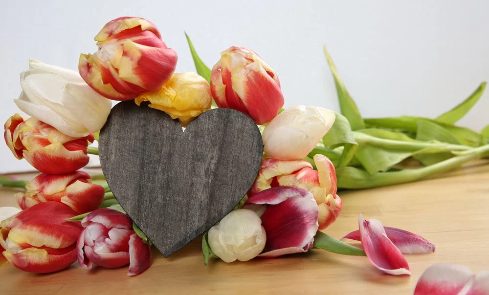 © Birgit - Fotolia.com Papageientulpen