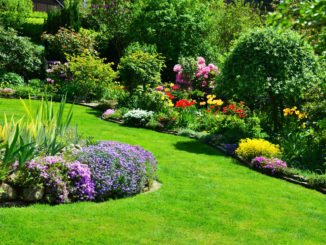 Dünger Garten Unterschiede