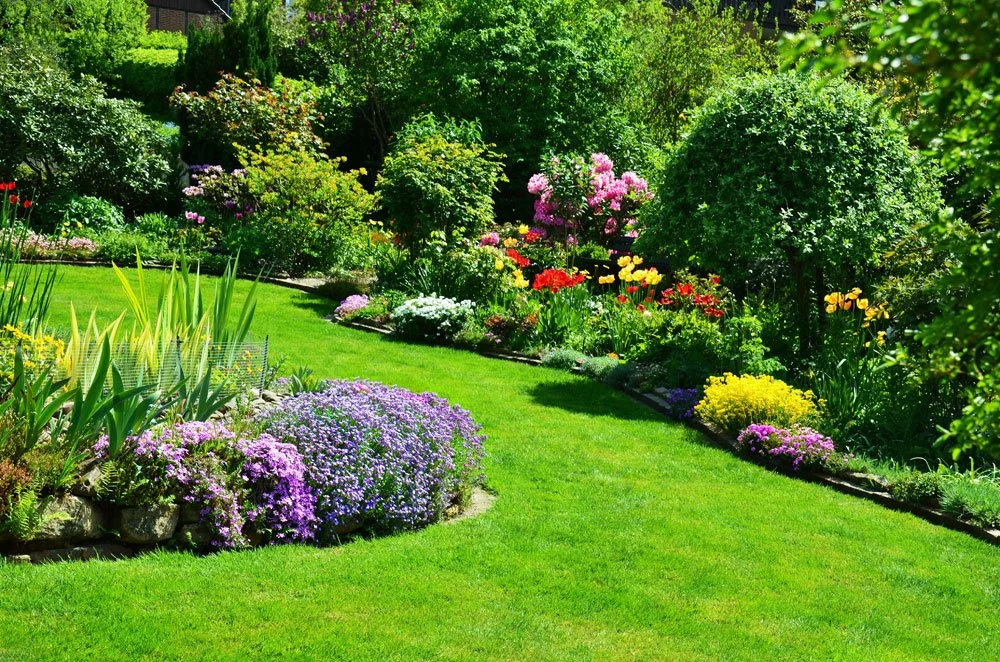 Dünger Garten Unterschiede