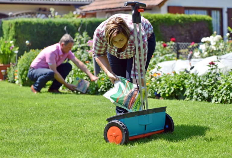 Rasen im Herbst düngen und mähen