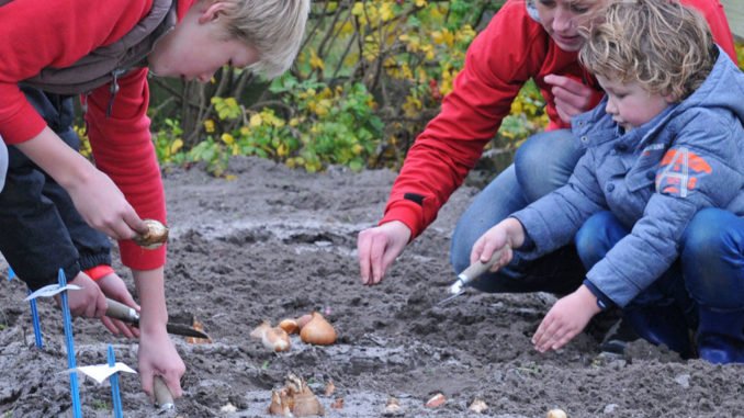 Foto: fluwel.de Pflanzem mit Kindern