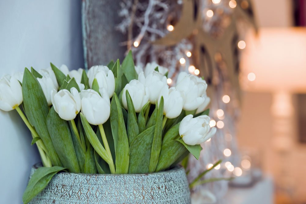 Foto: TulpenZeit/ibulb Tulpen Deko Weihnachten