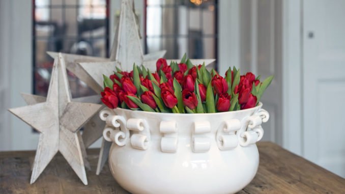 Foto: TulpenZeit/ibulb Tulpen zu Weihnachten
