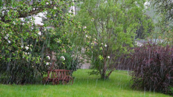 © farbkombinat / stock.adobe.com Garten regenfest machen