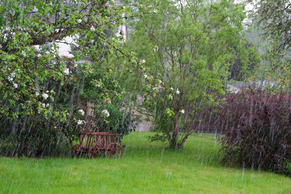 Garten regenfest machen
