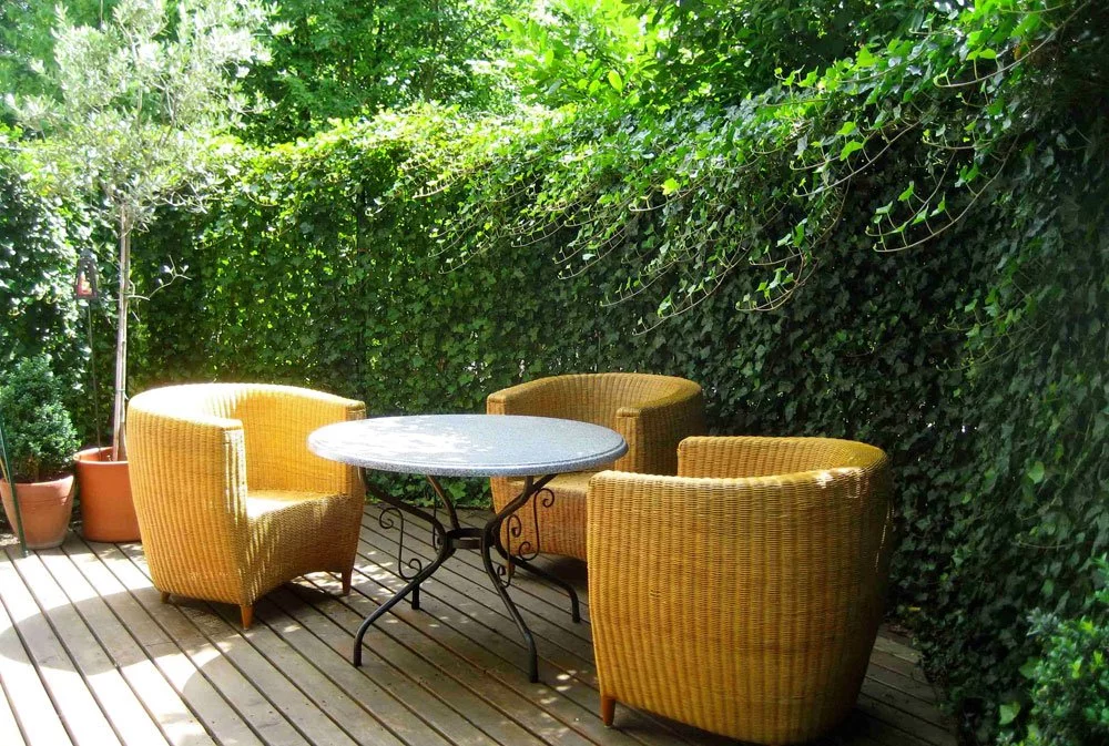 Privatsphäre Garten