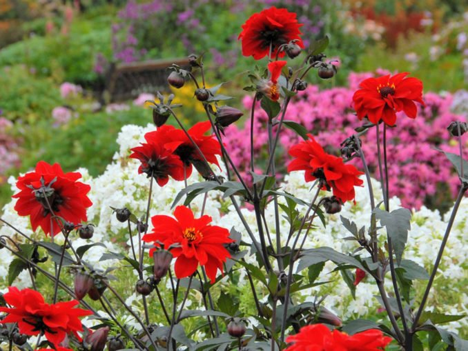 Alle Gartenbank landhausstil zusammengefasst