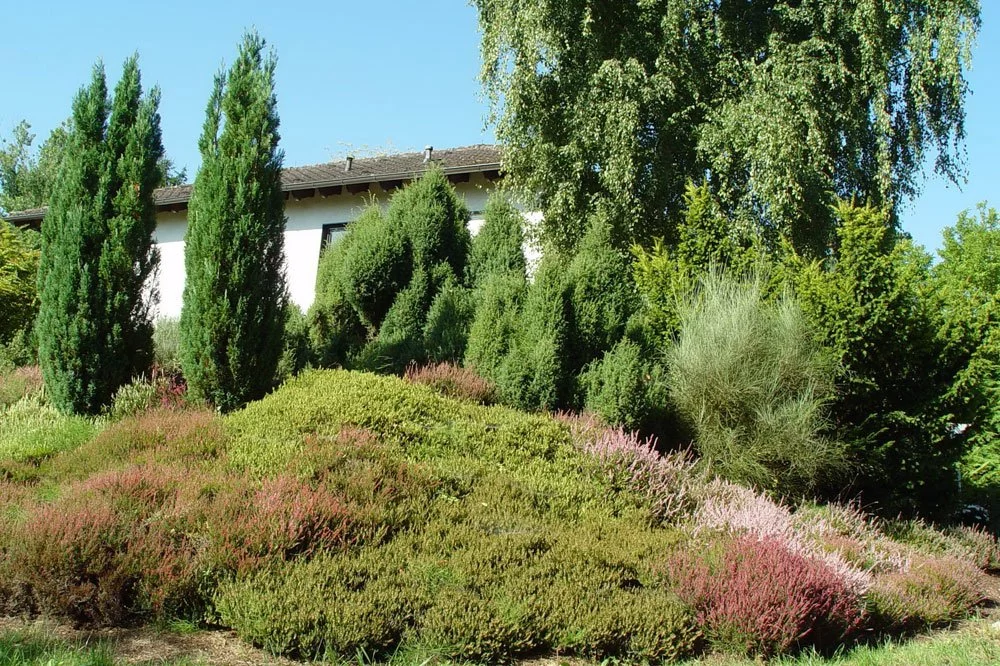 Heidegarten anlegen
