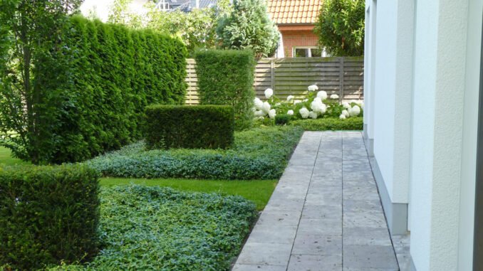 Gartengestaltung mit Bodendeckern Ideen und Tipps