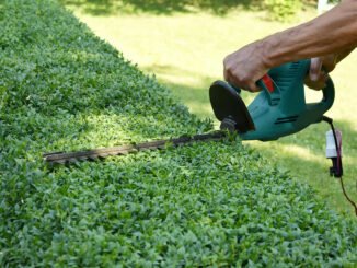 Hecke schneiden