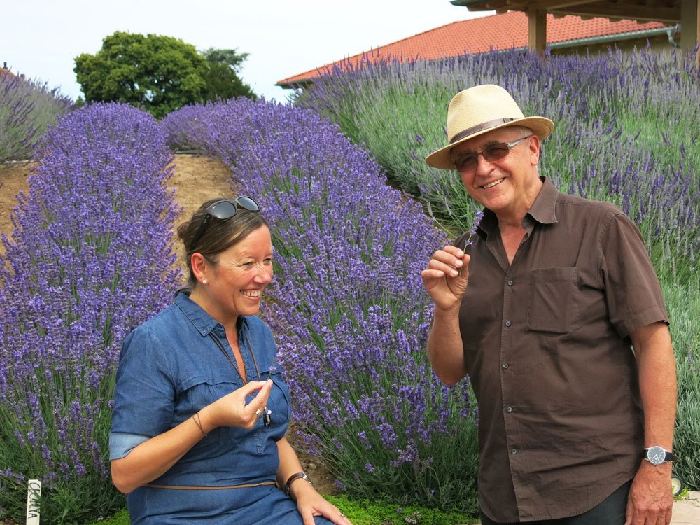 Lavendel Kräutergarten