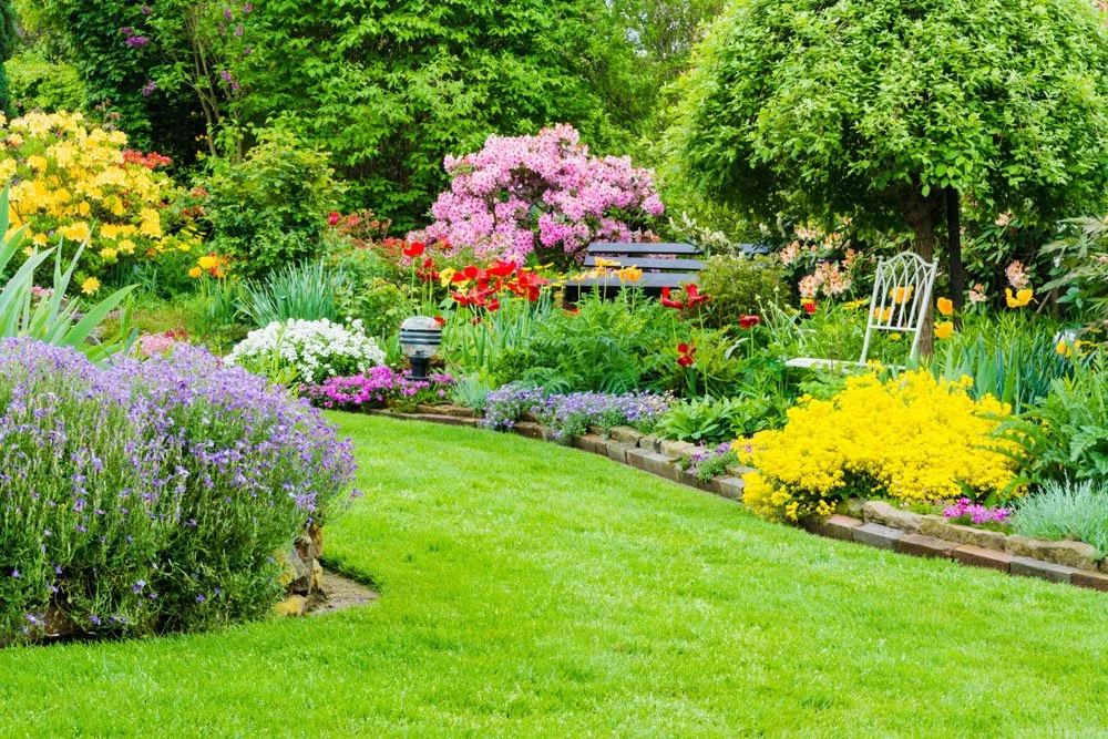 Garten gelb