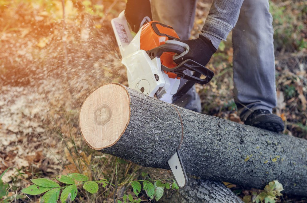 Mann sägt Baum in Arbeitsschuhen.