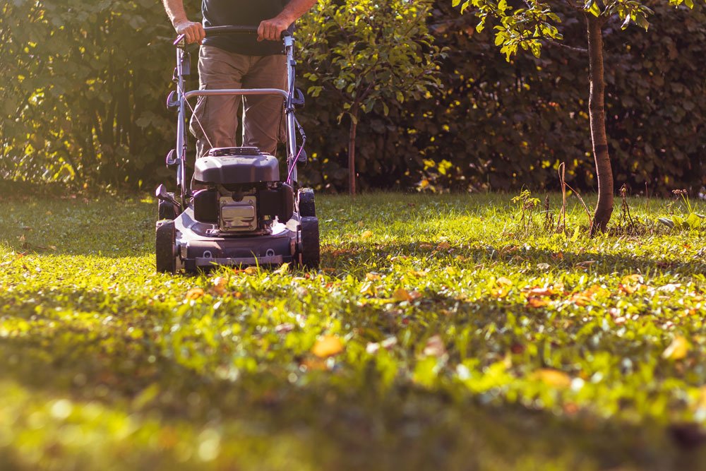 Mann mäht Rasen im Herbst Rasen mähen im Herbst