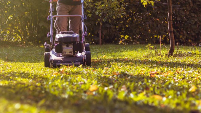 4 Schritte für die Rasenpflege im Herbst