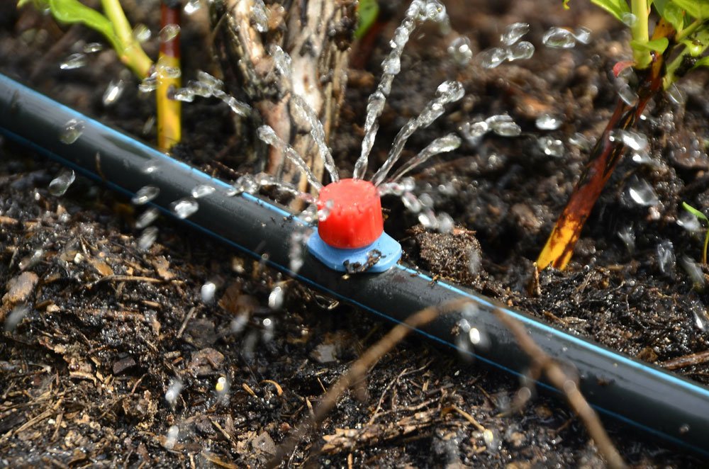 Tröpfchenbewässerung Hochbeet Tröpfchenbewässerung Hochbeet
