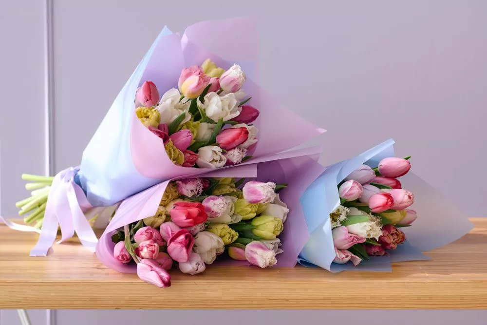 Tipps für Tulpen
